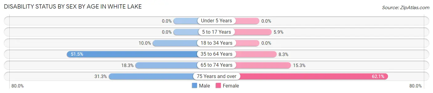 Disability Status by Sex by Age in White Lake