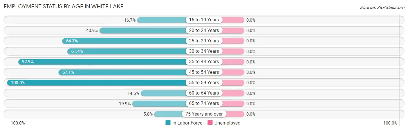Employment Status by Age in White Lake