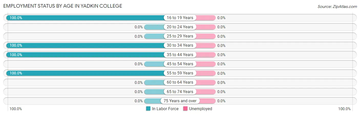Employment Status by Age in Yadkin College