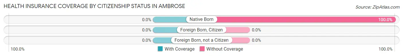 Health Insurance Coverage by Citizenship Status in Ambrose
