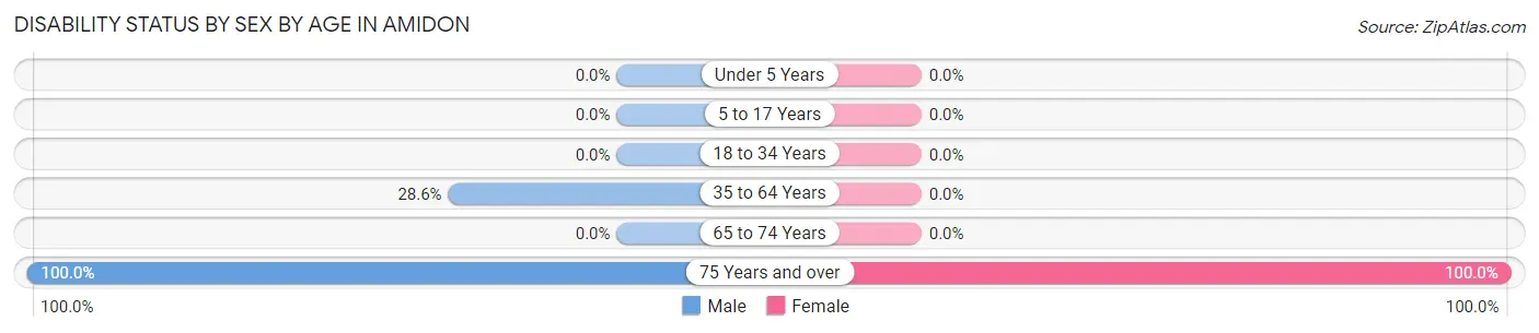 Disability Status by Sex by Age in Amidon