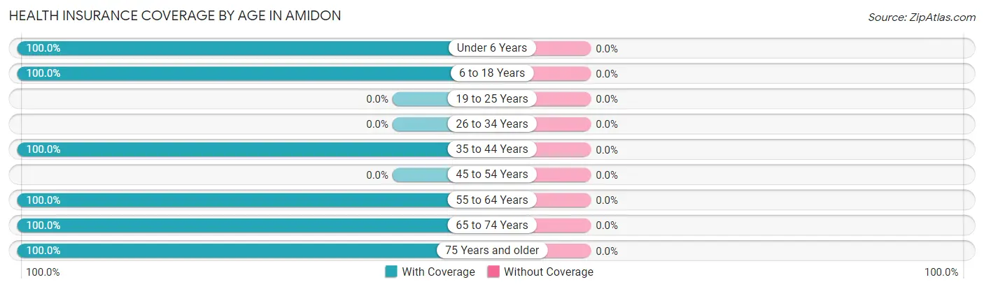 Health Insurance Coverage by Age in Amidon