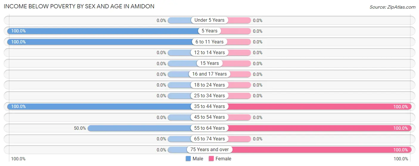 Income Below Poverty by Sex and Age in Amidon