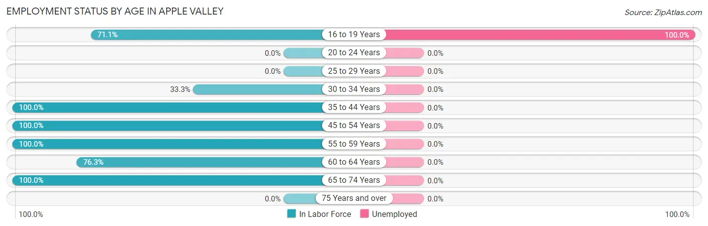 Employment Status by Age in Apple Valley