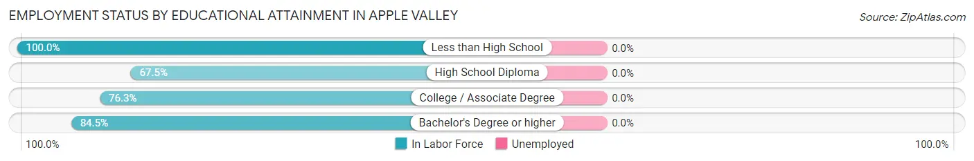 Employment Status by Educational Attainment in Apple Valley