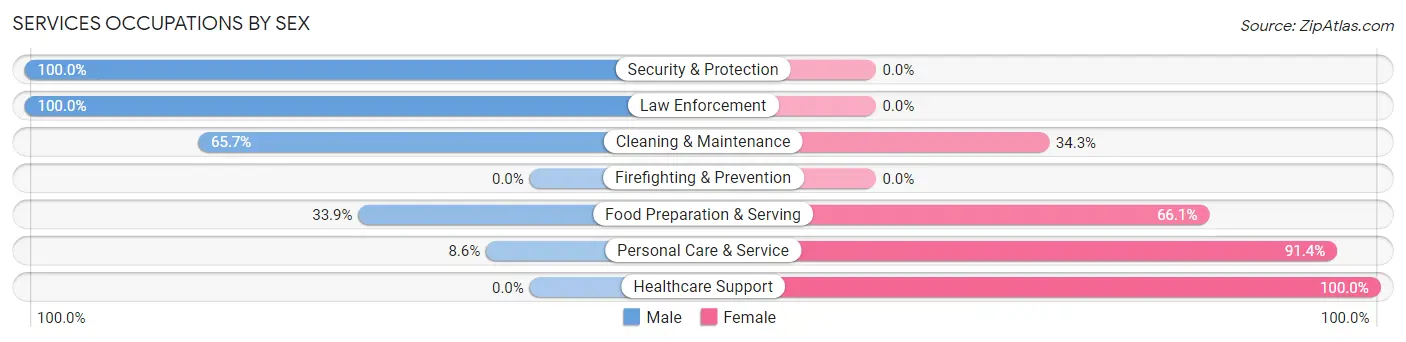 Services Occupations by Sex in Bottineau