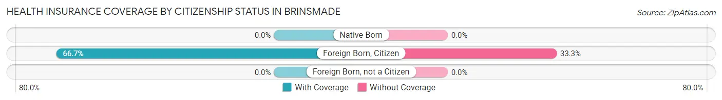 Health Insurance Coverage by Citizenship Status in Brinsmade