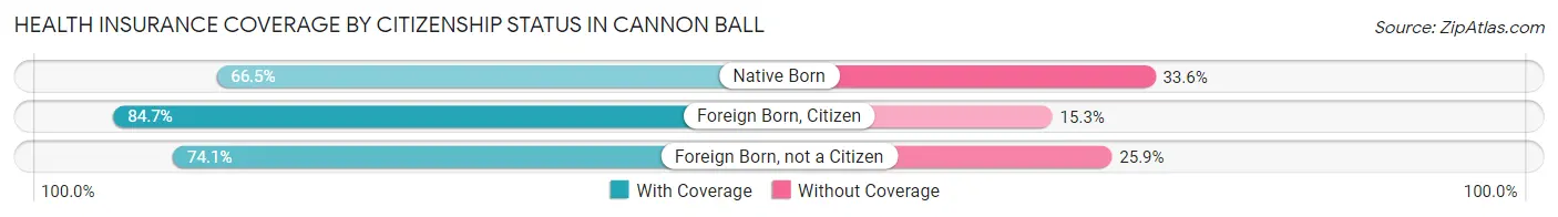 Health Insurance Coverage by Citizenship Status in Cannon Ball