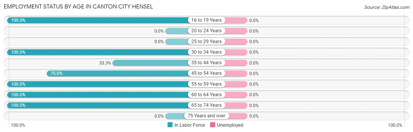 Employment Status by Age in Canton City Hensel