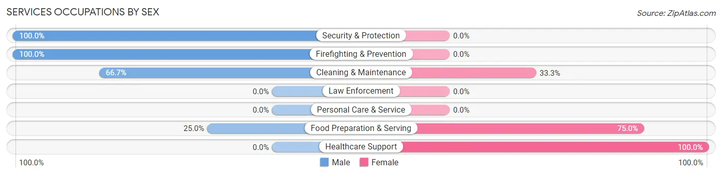 Services Occupations by Sex in Carpio