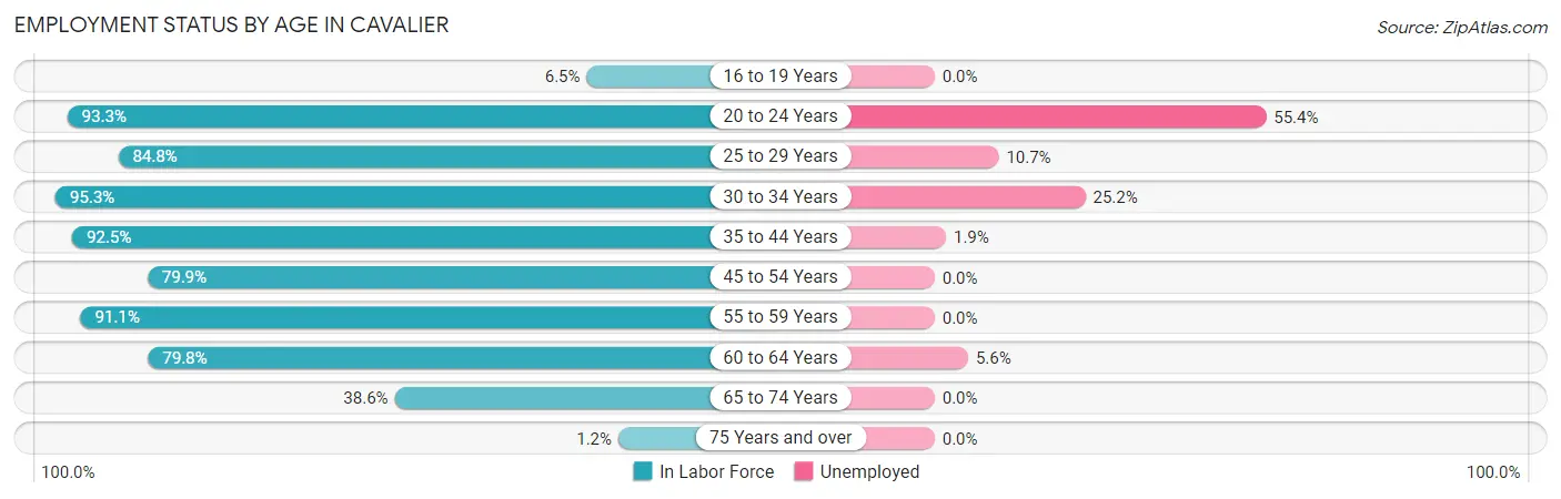 Employment Status by Age in Cavalier