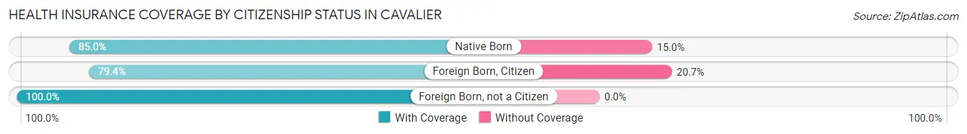 Health Insurance Coverage by Citizenship Status in Cavalier