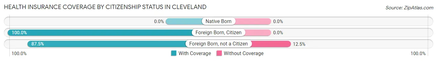 Health Insurance Coverage by Citizenship Status in Cleveland