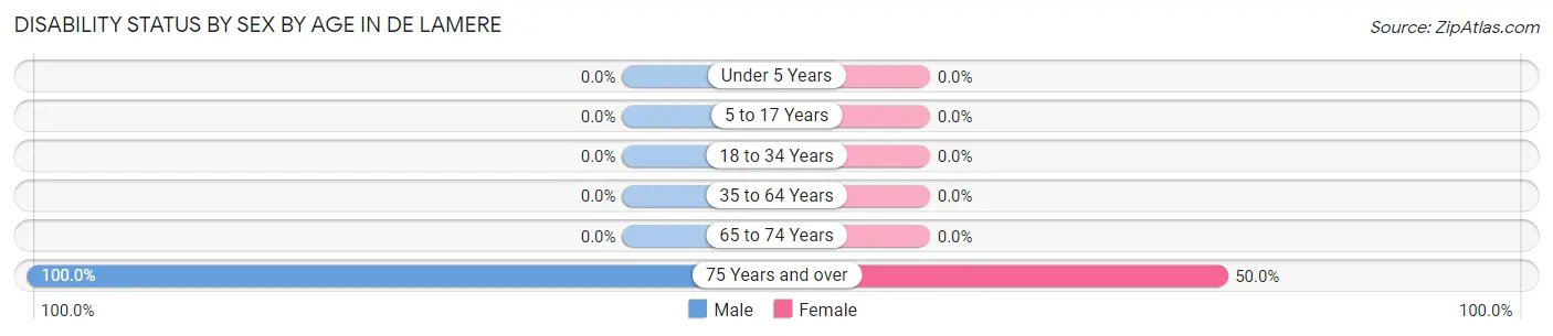 Disability Status by Sex by Age in De Lamere