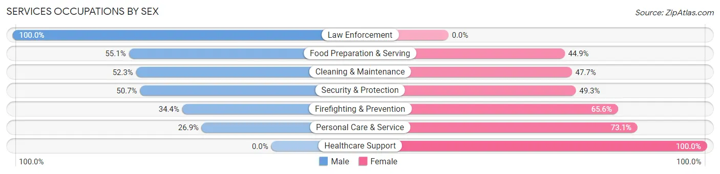 Services Occupations by Sex in Devils Lake