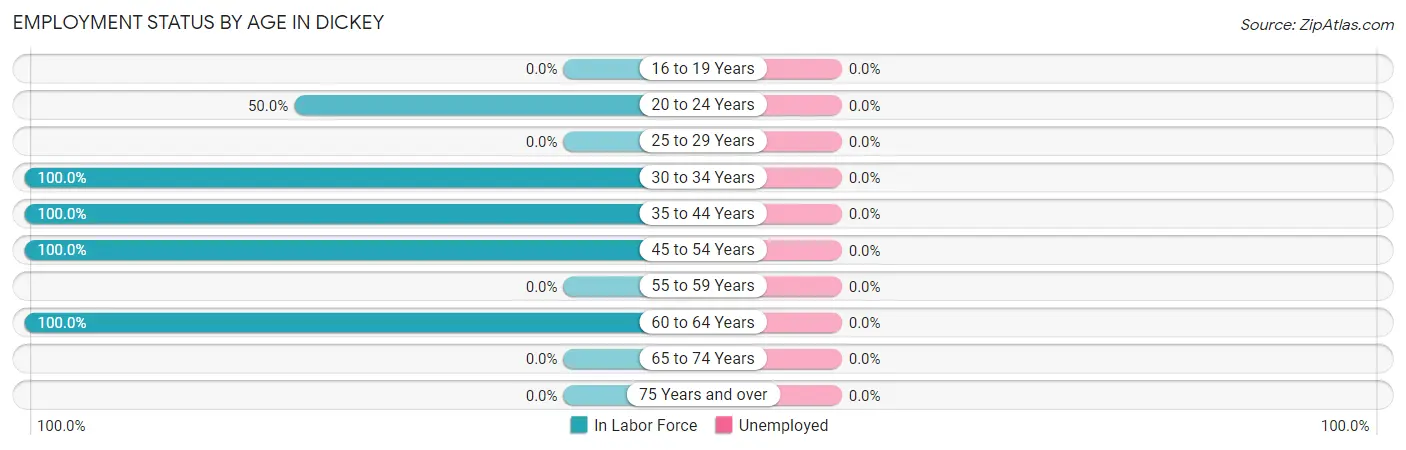 Employment Status by Age in Dickey