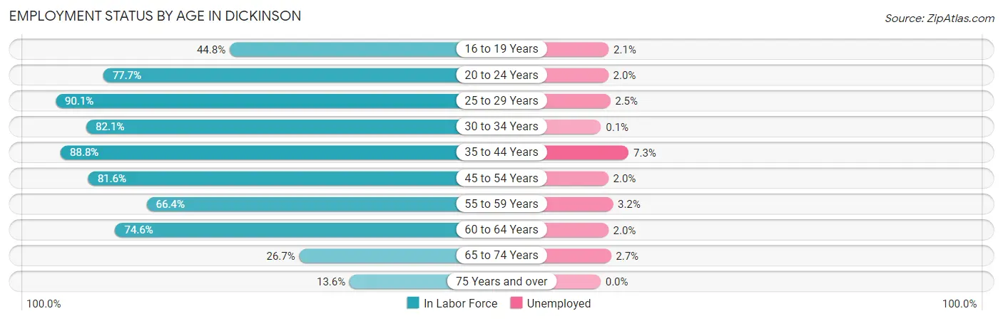 Employment Status by Age in Dickinson