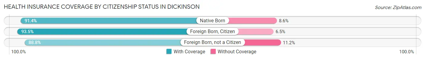Health Insurance Coverage by Citizenship Status in Dickinson