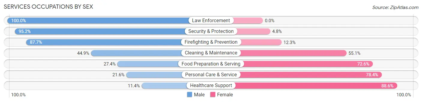 Services Occupations by Sex in Dickinson