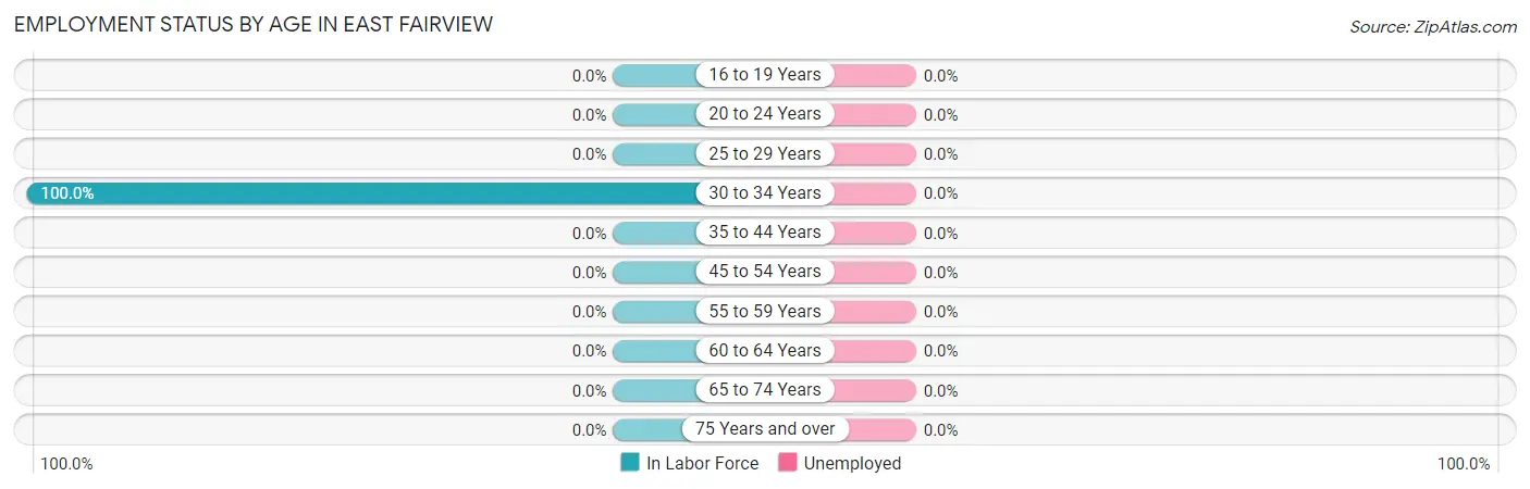 Employment Status by Age in East Fairview