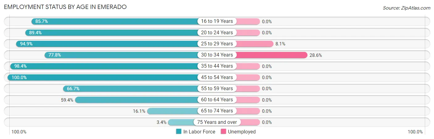 Employment Status by Age in Emerado