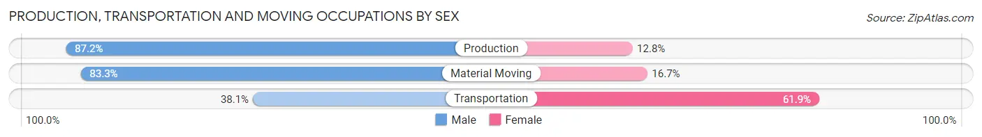 Production, Transportation and Moving Occupations by Sex in Enderlin