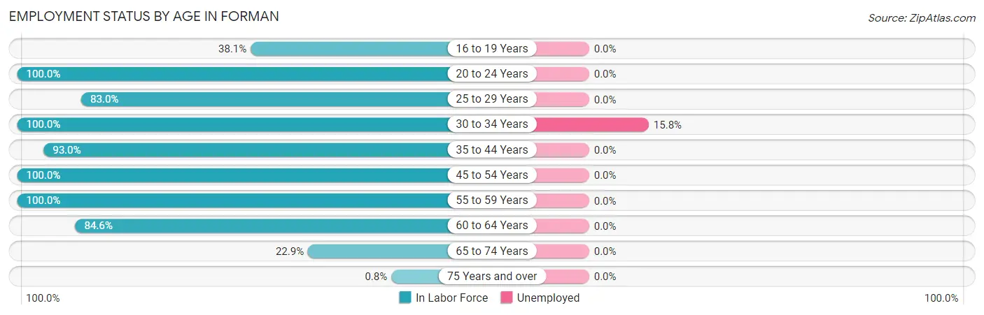 Employment Status by Age in Forman
