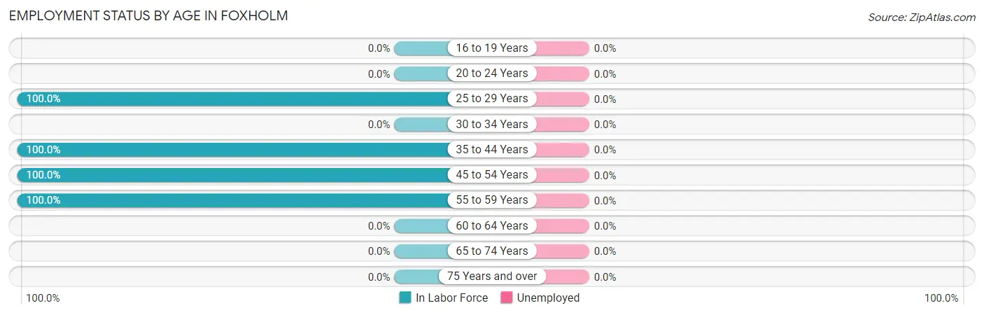 Employment Status by Age in Foxholm