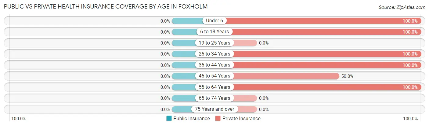 Public vs Private Health Insurance Coverage by Age in Foxholm