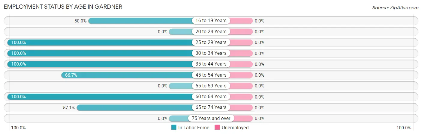 Employment Status by Age in Gardner