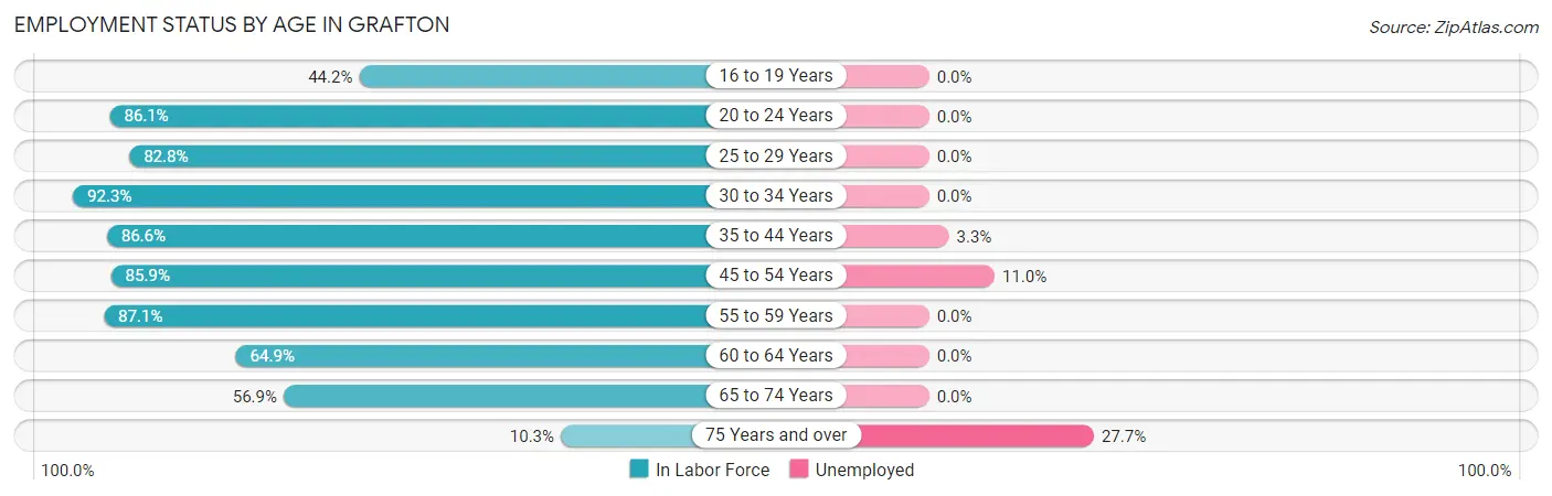 Employment Status by Age in Grafton