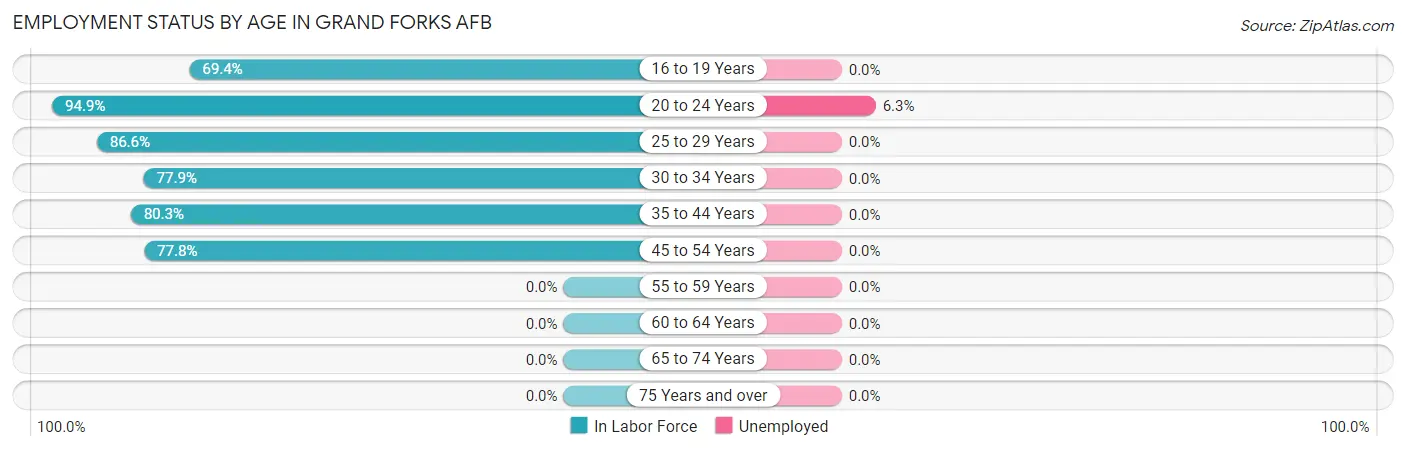Employment Status by Age in Grand Forks AFB