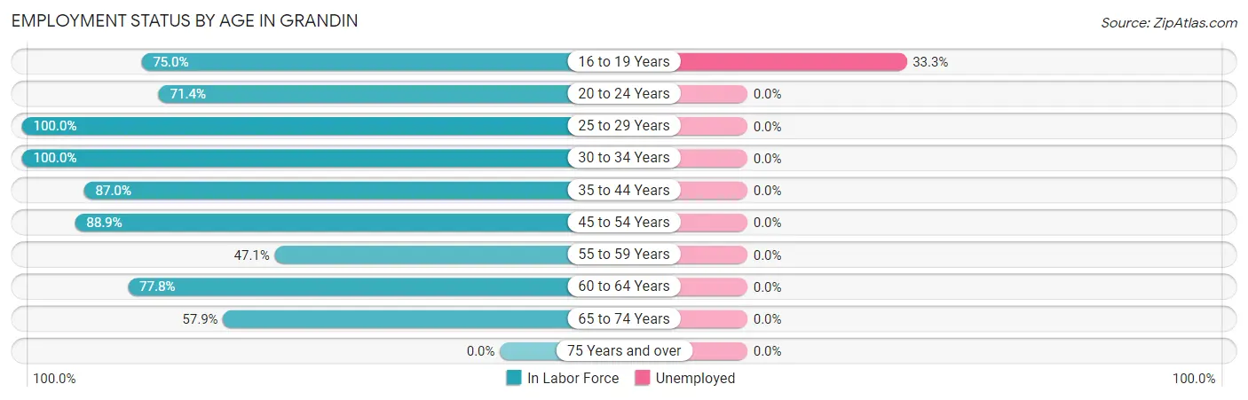 Employment Status by Age in Grandin
