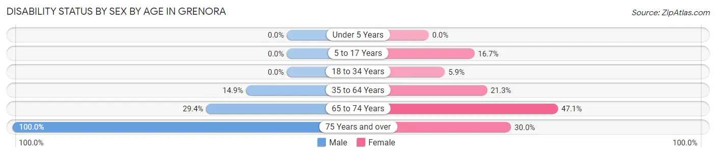 Disability Status by Sex by Age in Grenora