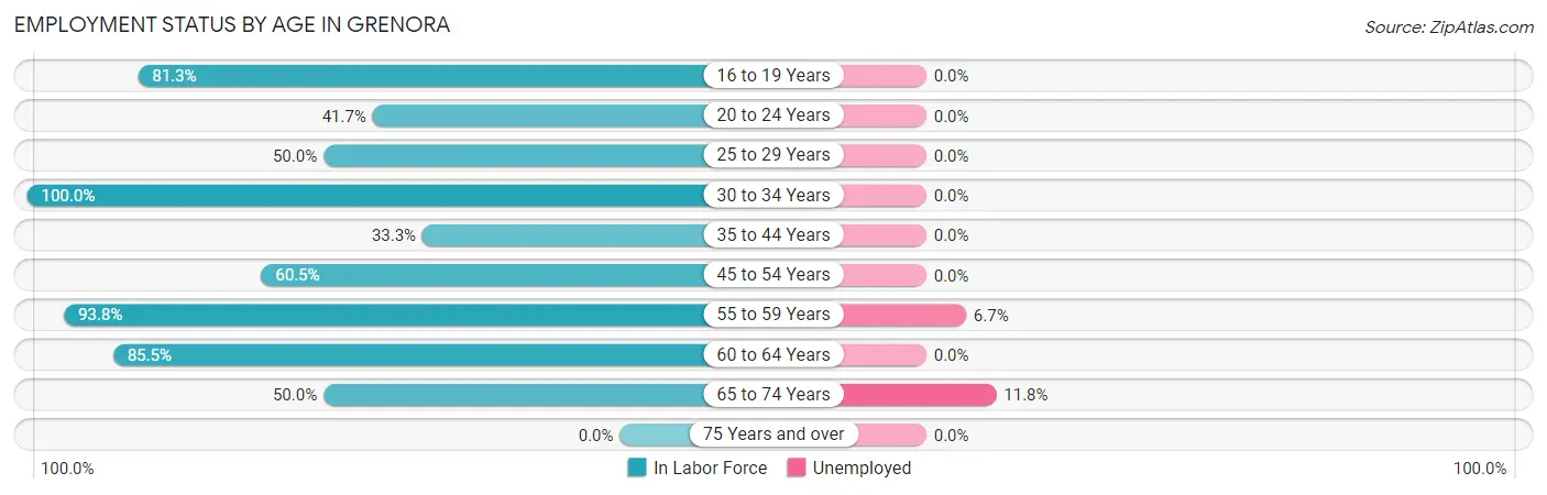 Employment Status by Age in Grenora