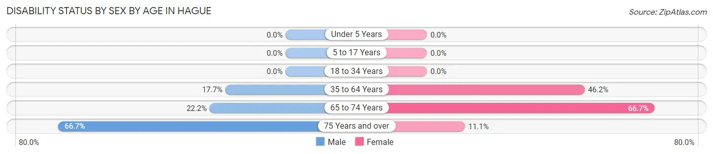 Disability Status by Sex by Age in Hague