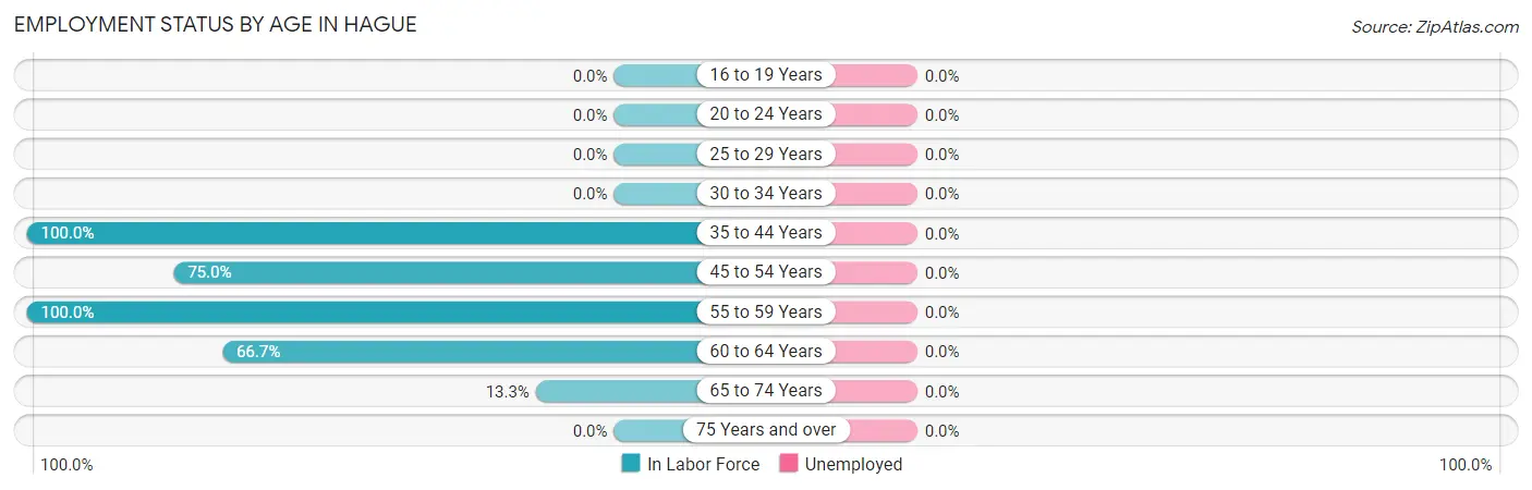 Employment Status by Age in Hague