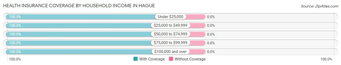 Health Insurance Coverage by Household Income in Hague