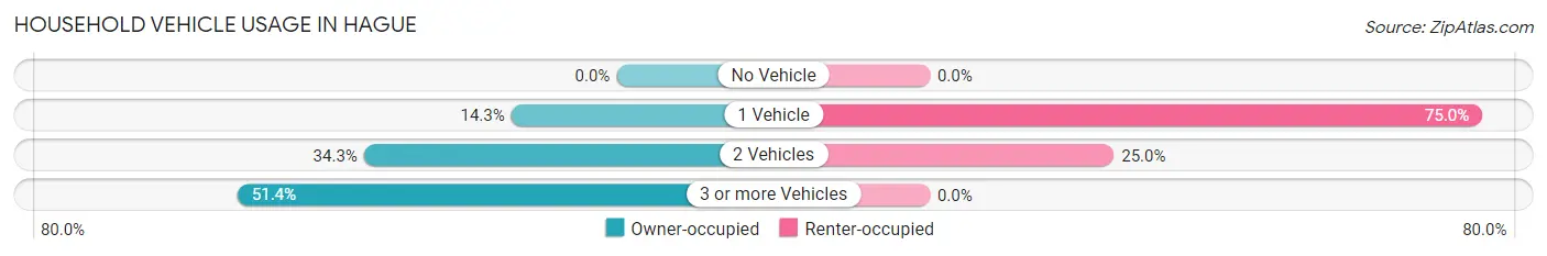 Household Vehicle Usage in Hague