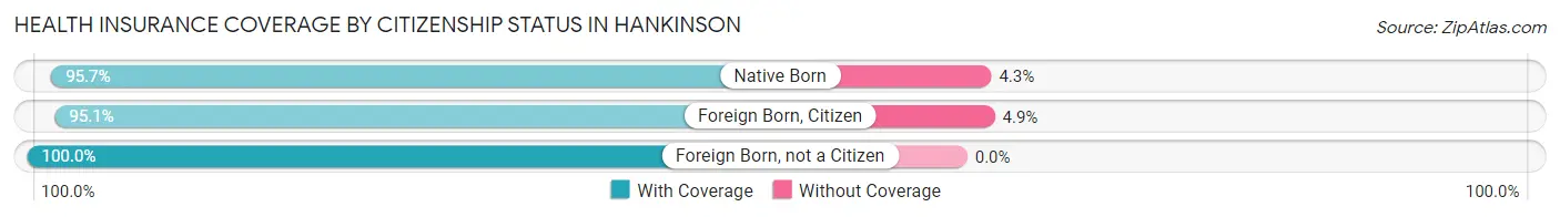 Health Insurance Coverage by Citizenship Status in Hankinson