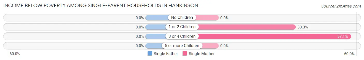 Income Below Poverty Among Single-Parent Households in Hankinson