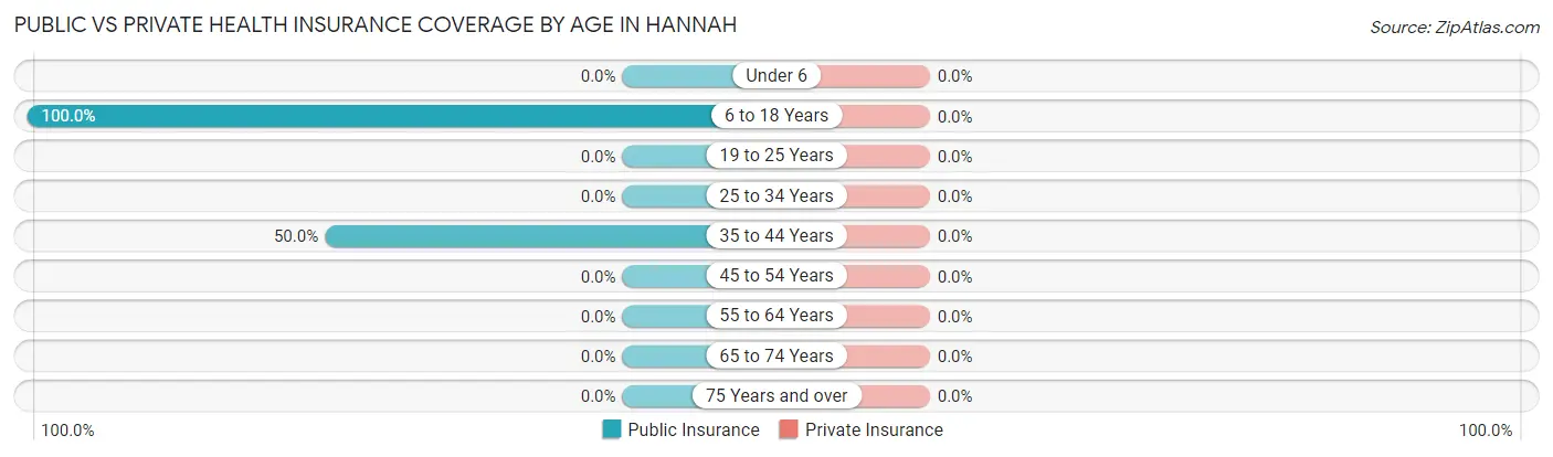 Public vs Private Health Insurance Coverage by Age in Hannah