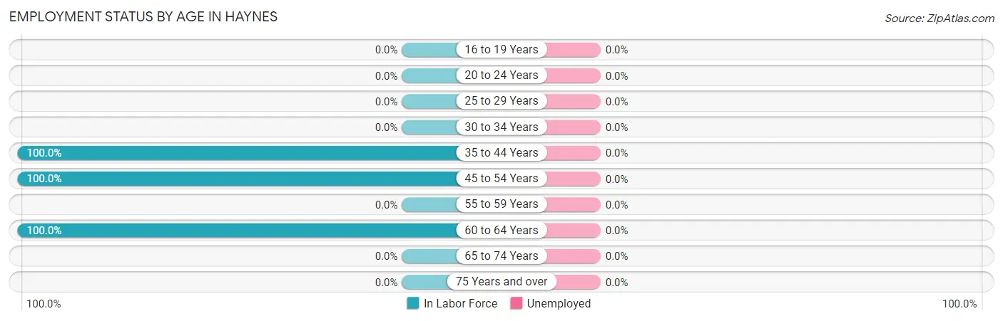 Employment Status by Age in Haynes