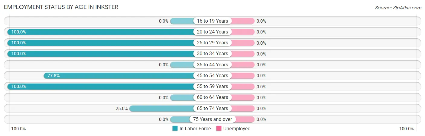 Employment Status by Age in Inkster