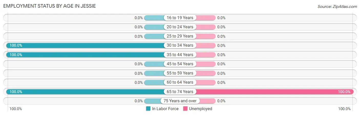 Employment Status by Age in Jessie