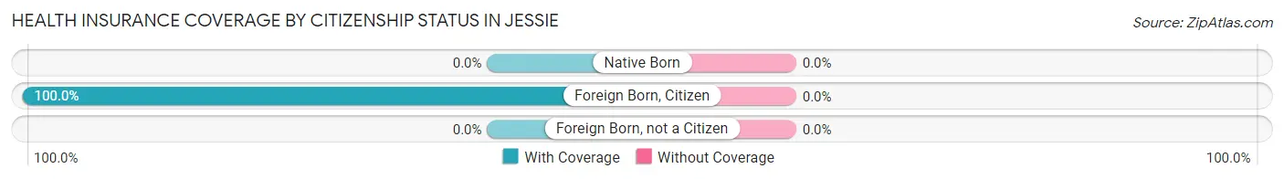 Health Insurance Coverage by Citizenship Status in Jessie