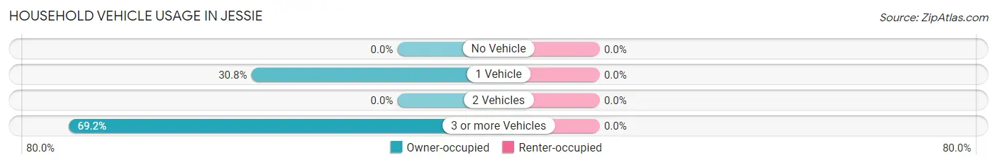 Household Vehicle Usage in Jessie