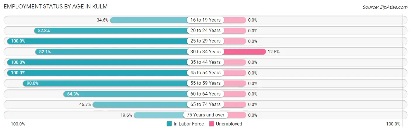 Employment Status by Age in Kulm