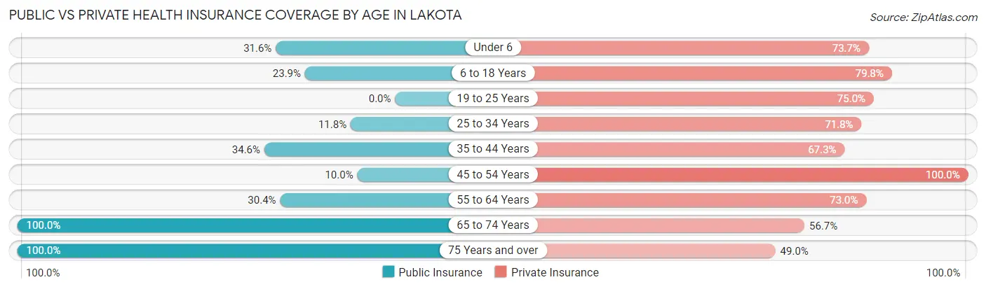 Public vs Private Health Insurance Coverage by Age in Lakota