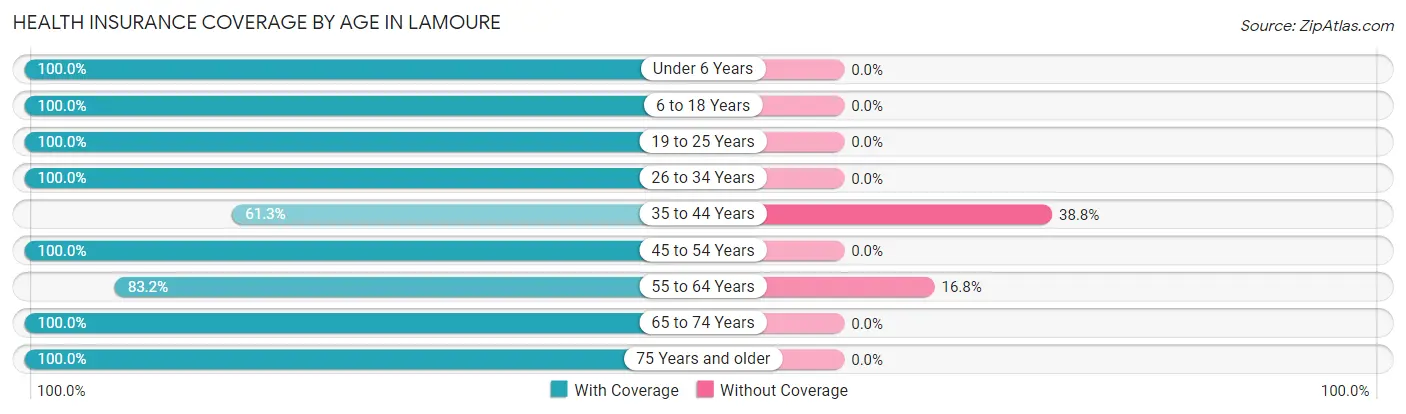 Health Insurance Coverage by Age in Lamoure